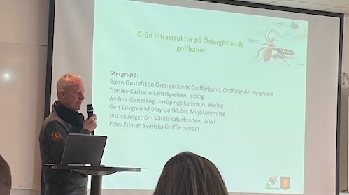 Grön Infrastruktur